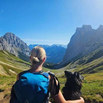 Hundetreffen-Gassirunden und/oder Spieltreffen