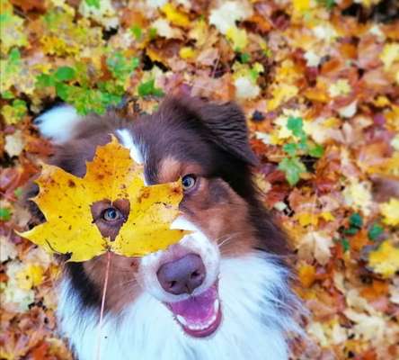 Fotochallange Nr. 57     PORTRÄT.   Beendet!!!!!!!!-Beitrag-Bild