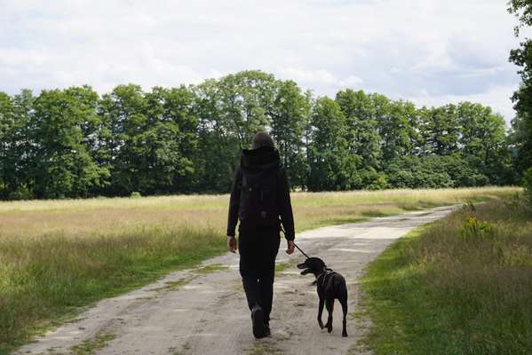 Hundetreffen-Social Walk in Potsdam Waldstadt/Kirchsteigfeld/Drewitz-Bild