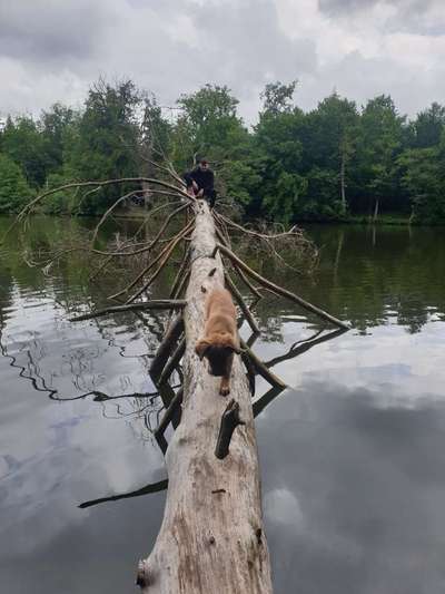 42.Fotochallenge - Eure schönen Momente beim Spaziergang-Beitrag-Bild