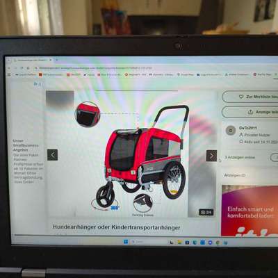 Fahrradanhänger für einen mittelgroßen Hund-Beitrag-Bild