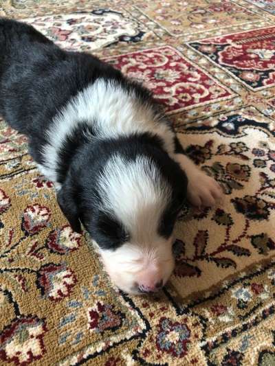 Erstes Bild-Beitrag-Bild