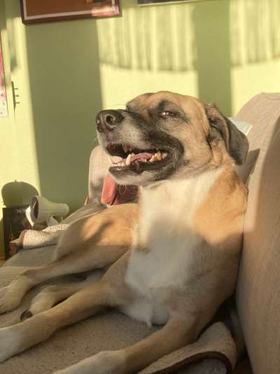 Fotochallenge Nr.122-Beitrag-Bild