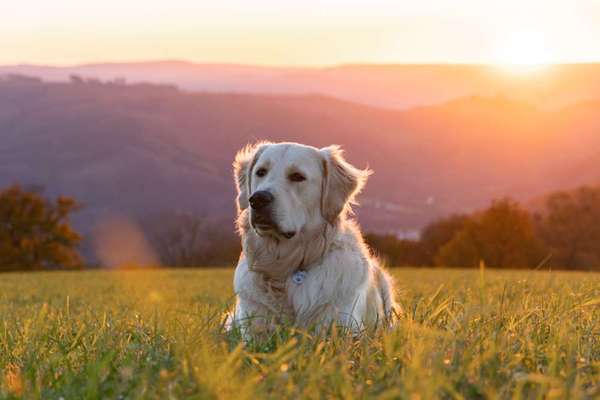 Herbst🍁-Beitrag-Bild