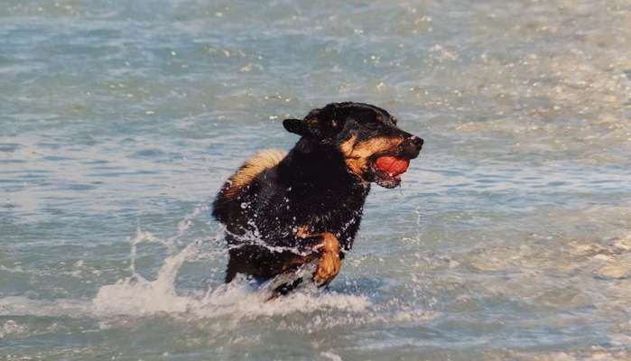 FOTOCHALLANGE NR.71 BADEFREUDE-Beitrag-Bild