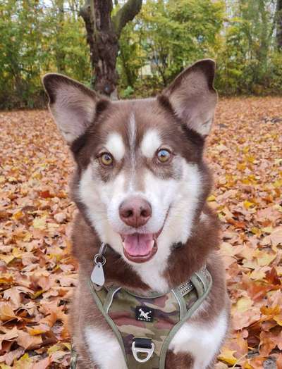 Fotochallange Nr. 57     PORTRÄT.   Beendet!!!!!!!!-Beitrag-Bild