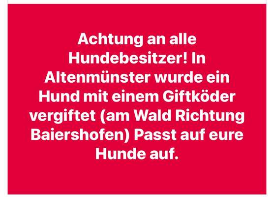 Giftköder-Hund vergiftet mit Giftköder-Bild