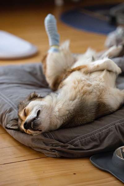 CHALLENGE NR. 34 - Liege-/Schlafpositionen-Beitrag-Bild