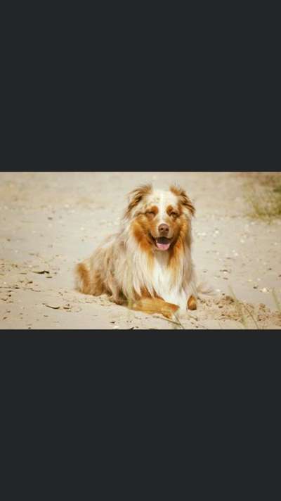 Fotochallenge Nr. 56 - geliebte Senioren-Beitrag-Bild