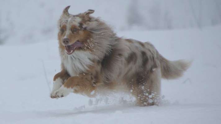 Fotochallenge Nr. 56 - geliebte Senioren-Beitrag-Bild