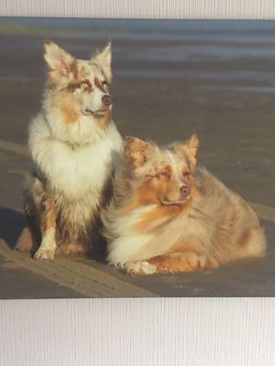 Fotochallenge Nr. 56 - geliebte Senioren-Beitrag-Bild