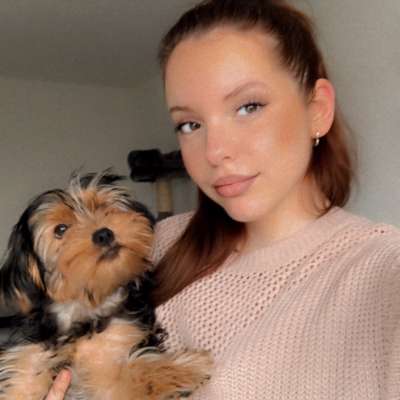 Hundetreffen-Abendrunde Großer Garten Welpen&Junghunde-Profilbild