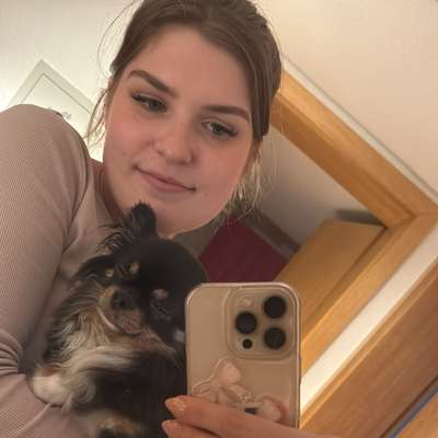 Hundetreffen-Kleine Hunde treffen