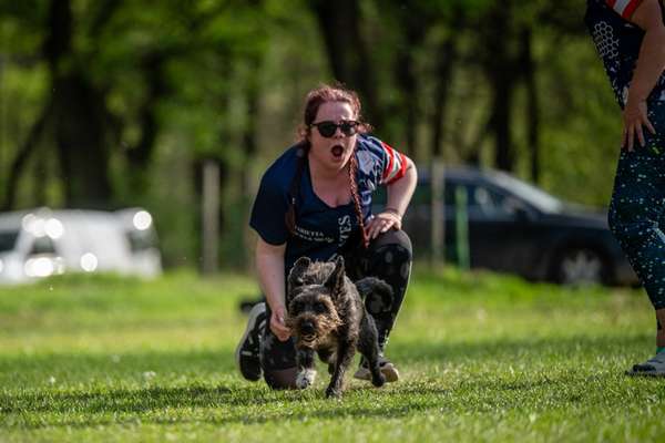 Hundesport-Beitrag-Bild