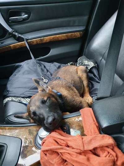 FOTO-Challenge  NR. 91: Die pure Entspannung-Beitrag-Bild