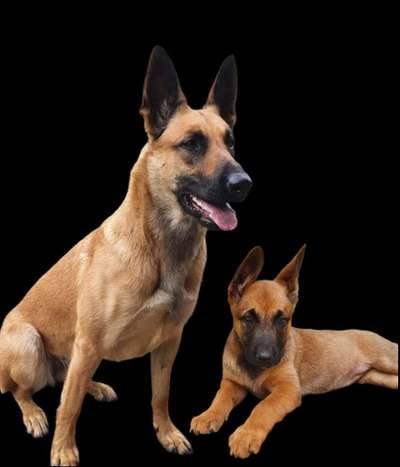 Sie werden so schnell groß!-Beitrag-Bild