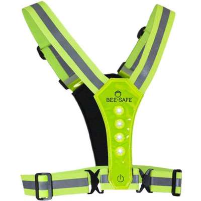 Beleuchtung am Hund-Beitrag-Bild