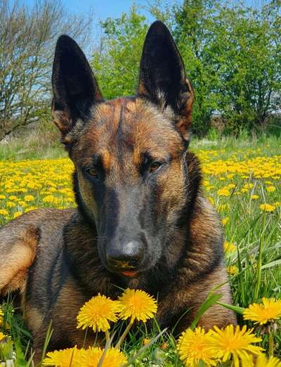 Fotochallenge 78

Es grünt und blüht-Beitrag-Bild