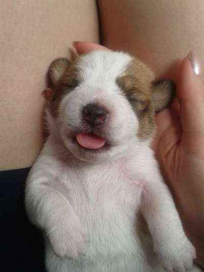 FOTO-Challenge  NR. 91: Die pure Entspannung-Beitrag-Bild