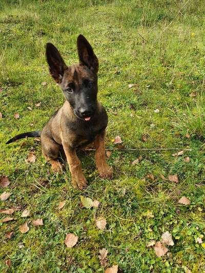 Foto Challenge 82-Beitrag-Bild