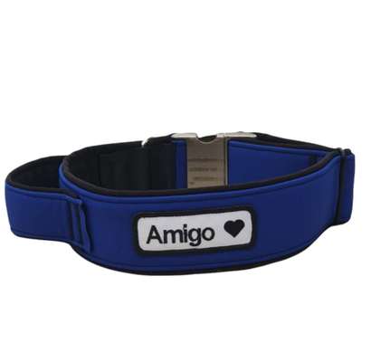 Optimales Halsband finden-Beitrag-Bild