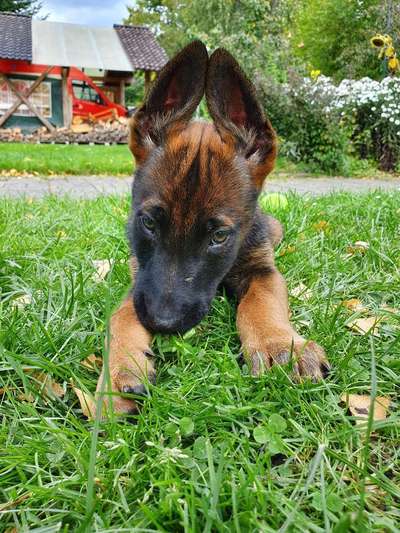 Erstes Bild-Beitrag-Bild