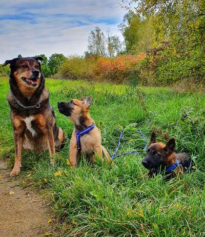 Fotochallenge 87: Im Park-Beitrag-Bild