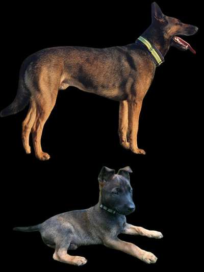 Sie werden so schnell groß!-Beitrag-Bild