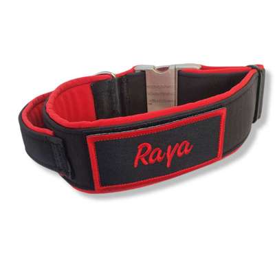 richtiges Geschirr und Halsband-Beitrag-Bild