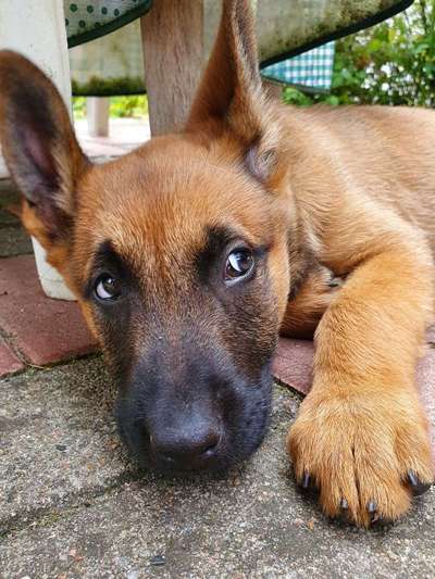 Erstes Bild-Beitrag-Bild