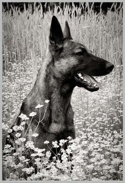 Foto-Challenge 76: Foto in Schwarz-Weiss-Beitrag-Bild