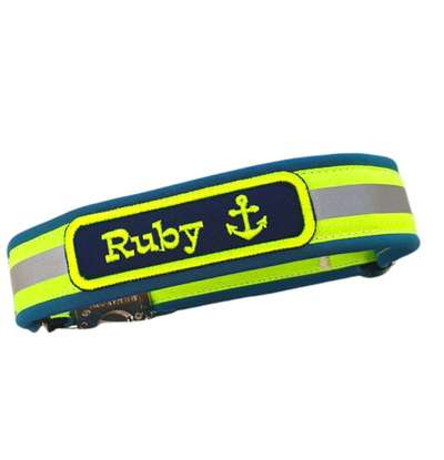 Optimales Halsband finden-Beitrag-Bild