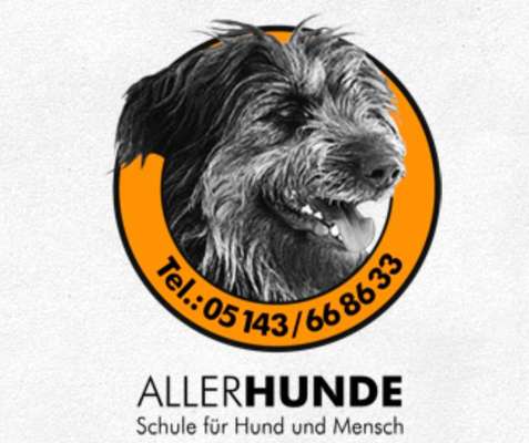 Hundeschulen-AllerHunde - Schule für Hund und Mensch-Bild