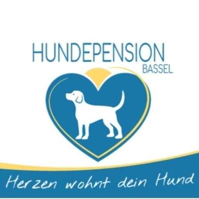 Hundepensionen-Hundepension Bassel-Bild