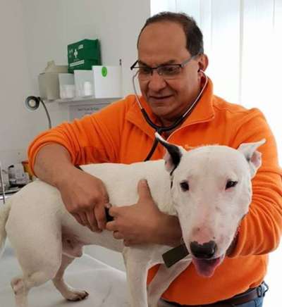 Tierärzte-Tierarztpraxis Jonas in Misburg-Bild