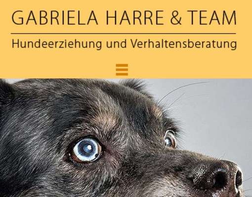 Hundeschulen-Gabriela Harre Hundeerziehung & Verhaltensberatung-Bild