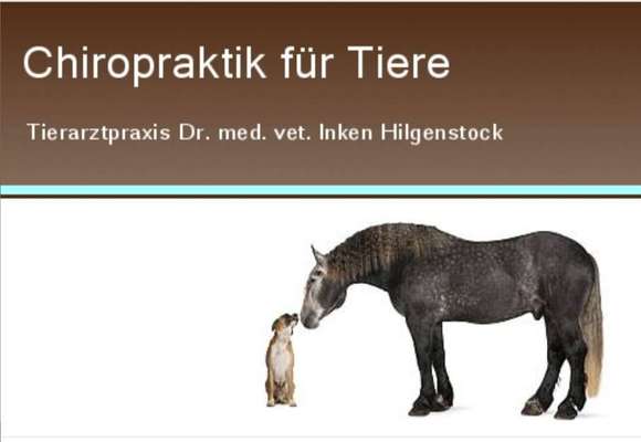 Tierärzte-Dr. Inken Hilgenstock-Bild