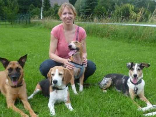 Hundeschulen-Hundetraining & Hundebetreuung TÄ Simone Drechsler-Bild