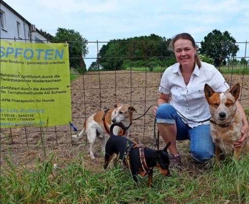 Hundeschulen-Hundeschule Spasspfoten-Bild