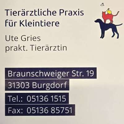 Tierärzte-Ute Gries-Bild