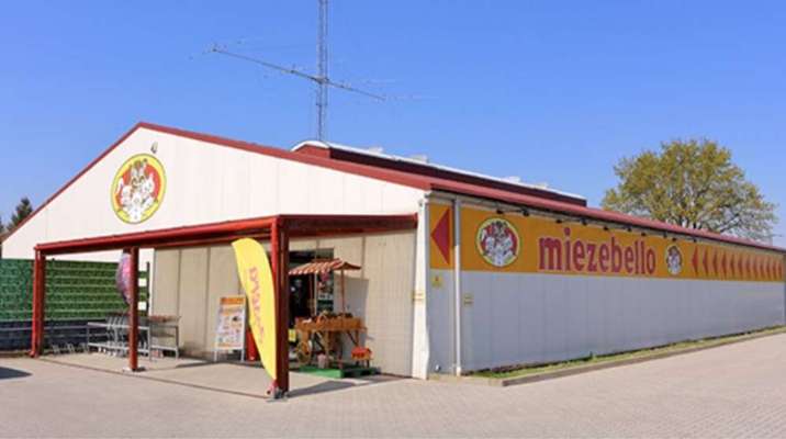 Hundeshops-MIEZEBELLO-Bild