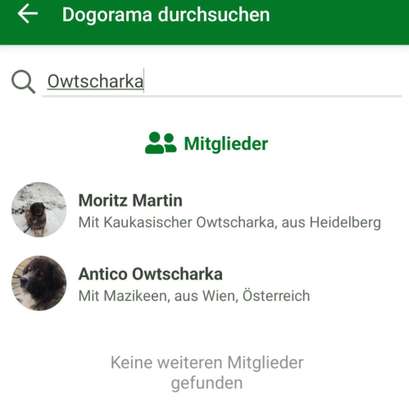 Kaukasische Owtscharka-Beitrag-Bild