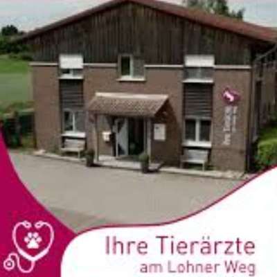 Tierärzte-Ihre Tierärzte am Lohner Weg-Bild