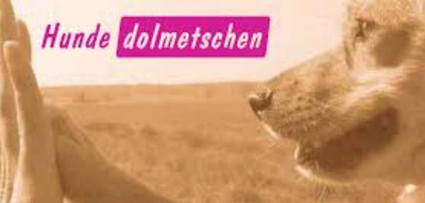 Hundeschulen-hunde dolmetschen-Bild