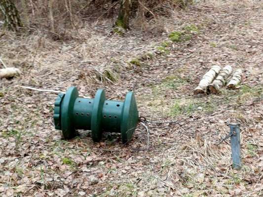 Sind hier Deutsch Kurzhaar/ Jagdhunde?-Beitrag-Bild