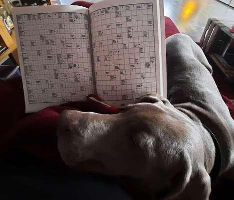 15. Handyfoto Challenge - Indoor Aktivitäten-Beitrag-Bild