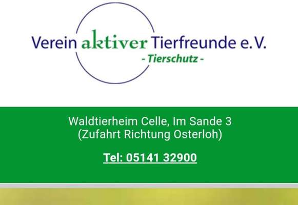 Tierheime-Waldtierheim Celle-Bild