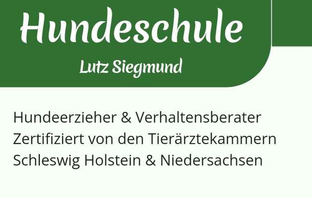 Hundeschulen-Hundeschule Lutz Siegmund-Bild