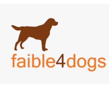 Hundeschulen-Hundeschule faible4dogs-Bild