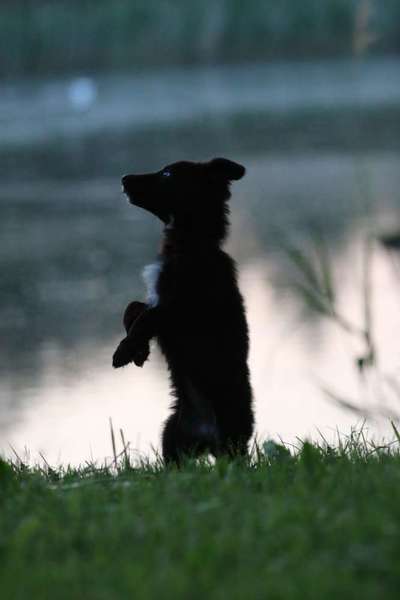 Theos Fotochallange Nummer 4-Beitrag-Bild